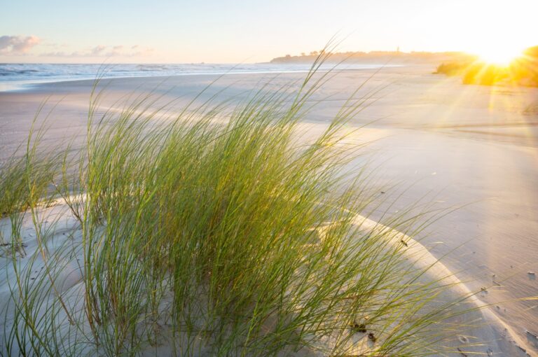 ADHD vs Anxiety - understanding the difference