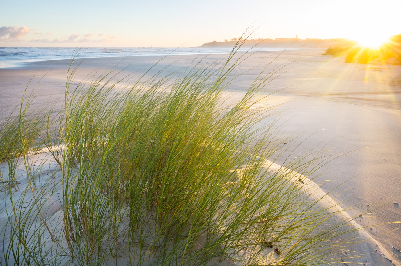 ADHD vs Anxiety - understanding the difference