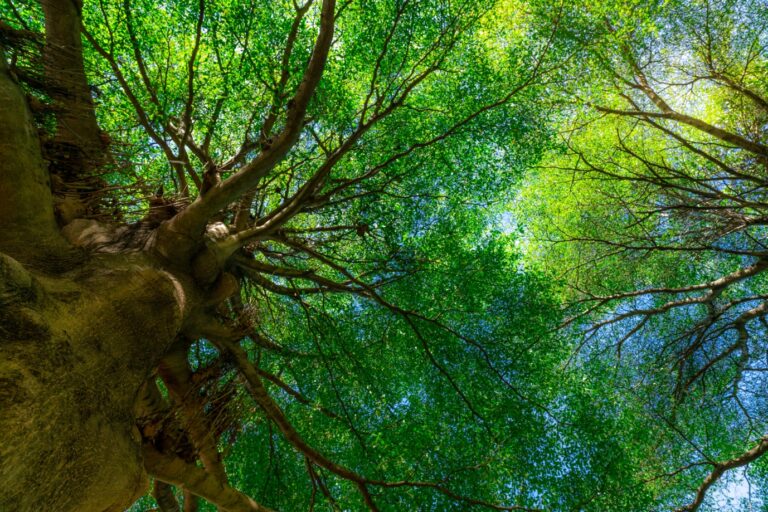 Understanding EMDR: How It Works and What to Expect